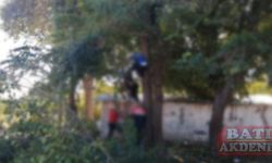 Adana'da ağacın dalında asılı kalan atmaca kurtarıldı
