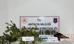 Antalya'da evinde ve seralarında uyuşturucu imalatı yapan zanlı yakalandı
