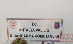 Antalya'da muz bahçesinde esrar ele geçirildi, bir şüpheli gözaltına alındı