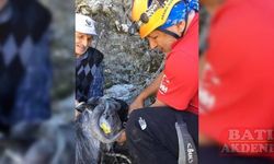 Antalya'da uçurumda mahsur kalan 2 keçi kurtarıldı