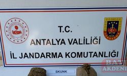 Antalya'da uyuşturucu operasyonunda 2 kişi yakalandı