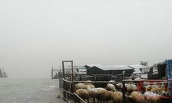Antalya'nın yüksek kesimlerine kar yağdı