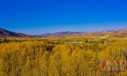 Fotoğrafçıların vizöründen Kahramanmaraş'ın güz tonları
