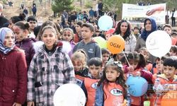 Gaziantep ve çevre illerde fidanlar toprakla buluşturuldu