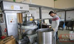 Hatay'da 270 bin ton zeytin rekoltesi bekleniyor