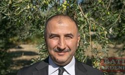 Hatay'da 270 bin tonun üzerinde zeytin rekoltesi bekleniyor