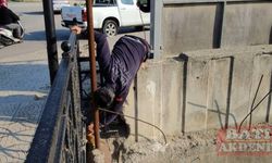 Hatay'da köprü korkuluğunda mahsur kalan yavru kedi kurtarıldı