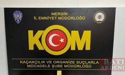 Irak'ta bankanın dolandırılmasına ilişkin 2 zanlı Mersin'de yakalandı