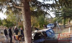 Isparta'da ağaca çarpan otomobildeki 4 üniversite öğrencisinden biri öldü, 3'ü yaralandı