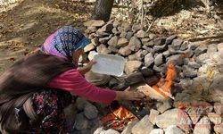 Isparta'da mahalle sakinlerinin "kestane toplama nöbeti" sürüyor