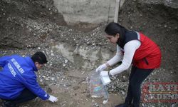 Kahramanmaraş'ta sulama kanalındaki balık ölümlerine ilişkin inceleme başlatıldı
