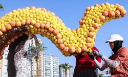 Mersin'de festival için 100 ton narenciyeden figürler hazırlanıyor