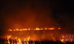 Mersin'deki Göksu Deltası'nda çıkan yangın sürüyor