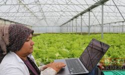 Adana'da tarım işçileri AA'nın "Yılın Fotoğrafları" oylamasına katıldı