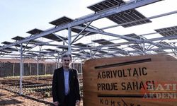 Agrivoltaik sistemle tarım ürünleri ve güneş panelleri aynı tarlada buluştu