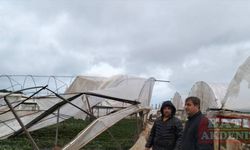 Antalya'daki hortum çilek seralarına zarar verdi