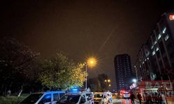 GÜNCELLEME - Mersin merkezli nitelikli dolandırıcılık operasyonunda 50 zanlı yakalandı