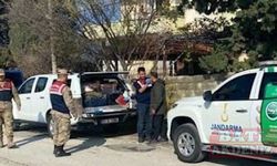 Hatay'da sahipsiz köpeği tüfekle yaralayan şüpheli yakalandı