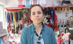 Hatay'da av tüfeğiyle ağzından vurulan köpek tedavi altına alındı