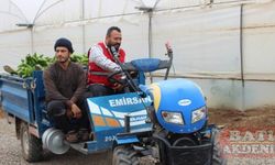 Hatay'da Türk Kızılayı serada 18 ton muz hasat etti