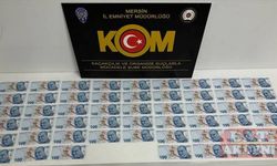 Mersin merkezli FETÖ operasyonunda 14 zanlı yakalandı