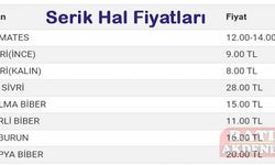 13 Ocak 2023​​​​​​​ Cuma Serik Hal Fiyatları