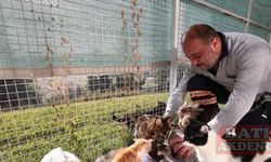 Can dostlar Büyükşehir’le çok mutlu