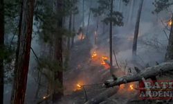 Çıkan orman yangınına müdahale ediliyor