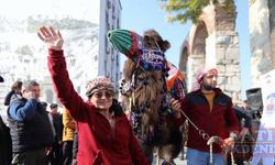 Efes Selçuk'ta deve güreşi heyecanı