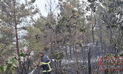 Hatay'da çıkan orman yangını kontrol altına alındı