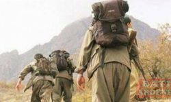 Terör örgütünde çözülme sürüyor! Yılın ilk iknası