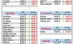 25 Ocak 2023 Çarşamba Kumluca Hal Fiyatları