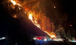 Yangının faturası ağır oldu! Alanya'da 3 hektarlık alan zarar gördü