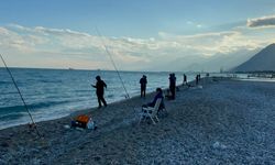 Antalyalı amatör balıkçılar "firari" balıkların peşinde