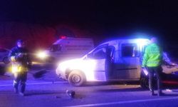 Burdur'da tırdan düşen hayvanların neden olduğu kazada 1 kişi öldü, 7 kişi yaralandı