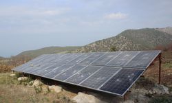 125 kayısı ağacının kesildiğini iddia eden kişi şikayetçi oldu