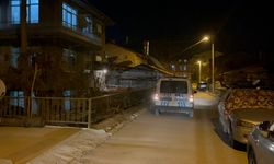 Isparta'da karbonmonoksitten zehirlenen anneanne ile torunu öldü