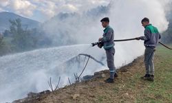 Kahramanmaraş'ta ağaçlandırma sahasında çıkan yangın söndürüldü