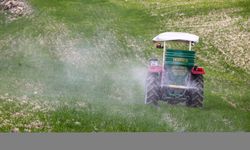 Meslek liseliler tarım uygulamalarını sebze yetiştirerek öğreniyor