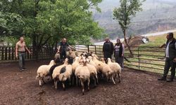 Tarsus'ta orman köylülerinin desteklenmesine devam ediliyor