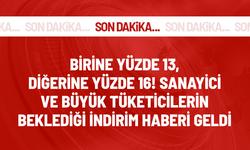 Bakan Dönmez: Şubat başında yüzde 16'lık indirim olacak