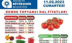 11 Şubat 2023 Demre Hal Fiyatları Piyasa Bugün