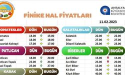 11 Şubat 2023 Finike Hal Fiyatları Piyasa Bugün