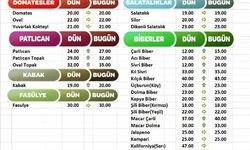 18 Şubat 2023 Finike Hal Fiyatları Piyasa Bugün