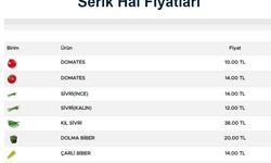 Serik Hal Fiyatları 4 Şubat 2023 Piyasa Bugün