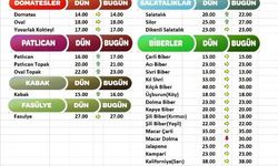 6 Şubat 2023 Finike Hal Fiyatları Piyasa Bugün