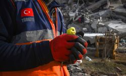 ADIYAMAN - Depremden 97 saat sonra enkazda bulunan muhabbet kuşuna "Mucize" adı verildi