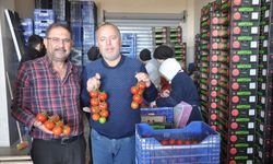 Demre'de üretimi yapılan sebzelerin ihracatı da gerçekleştiriliyor