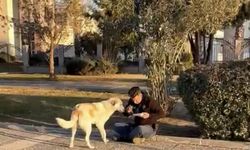 Deprem bölgesinde görevli polis, kumanyasını sokak köpeğiyle paylaştı