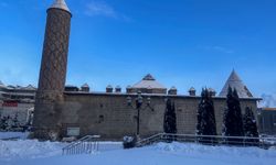 Doğu Anadolu'da kar ve soğuk hava etkili oluyor